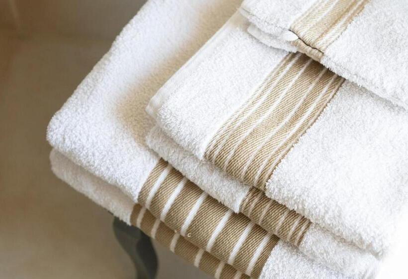 Bed and Breakfast Maison Le Sèpe   Vignoble Bio Et Maison D Hôtes