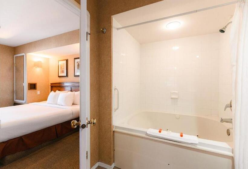 Mountain View Resort And Suites At Fairmont Hot Springs