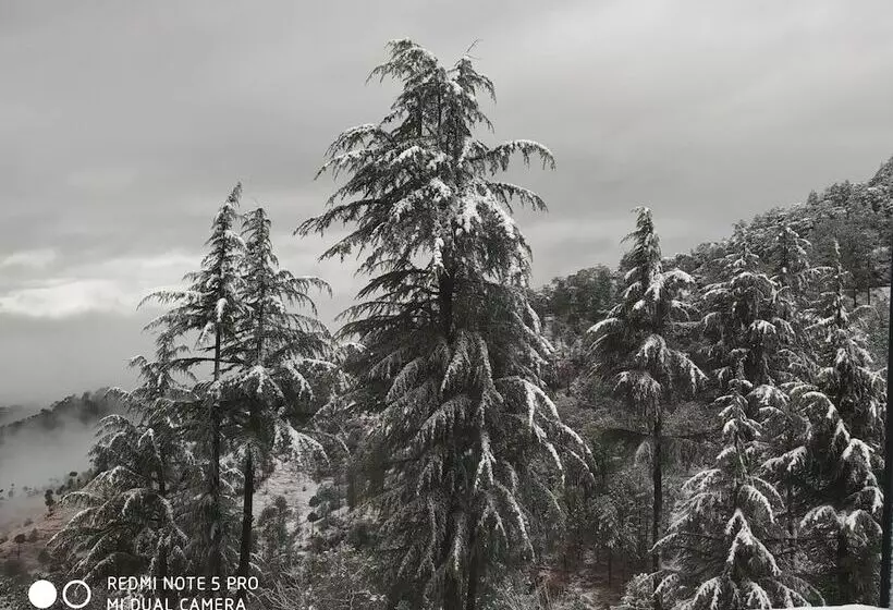 Mountain View Resort