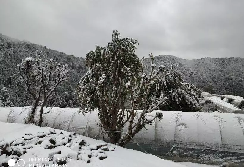 Mountain View Resort