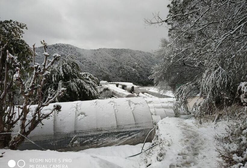 Mountain View Resort