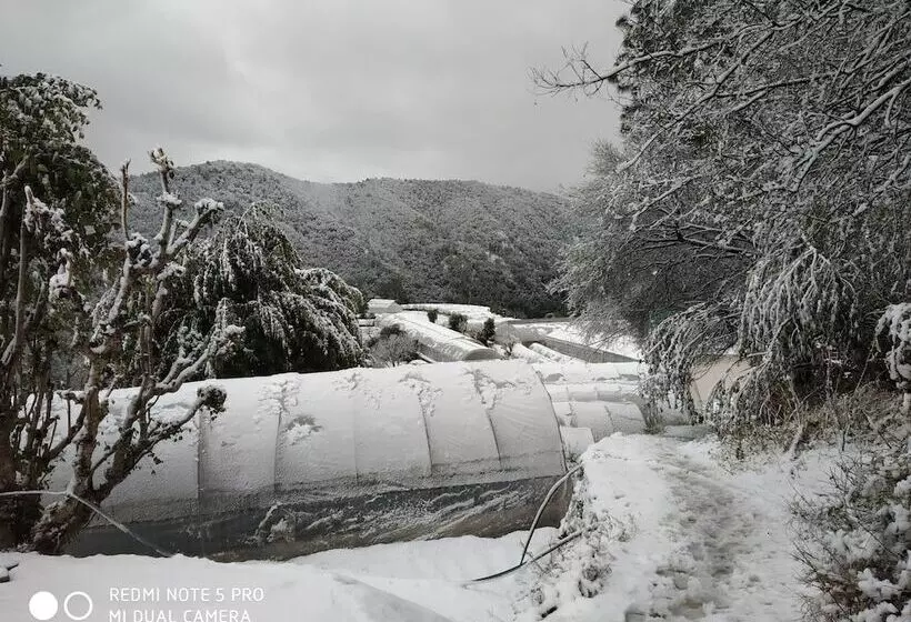 Mountain View Resort