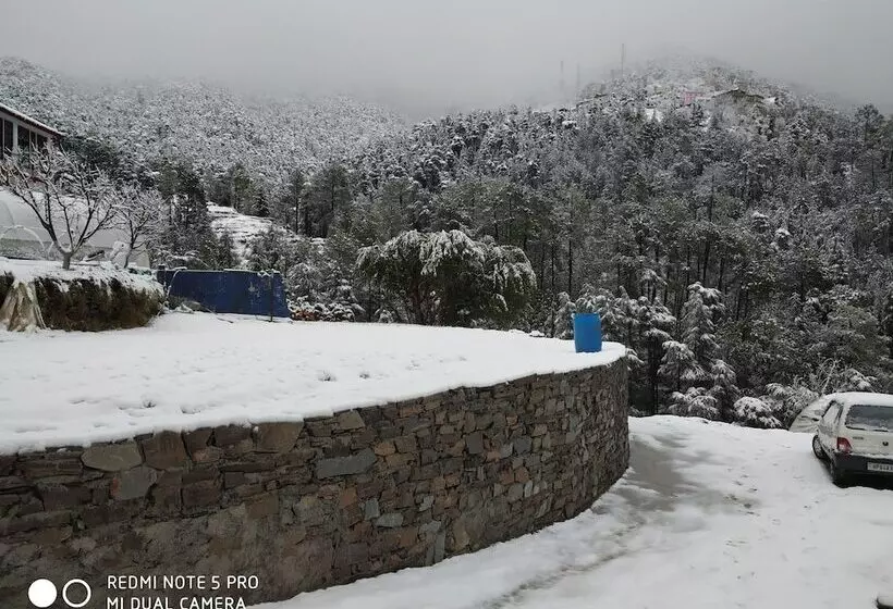 Mountain View Resort