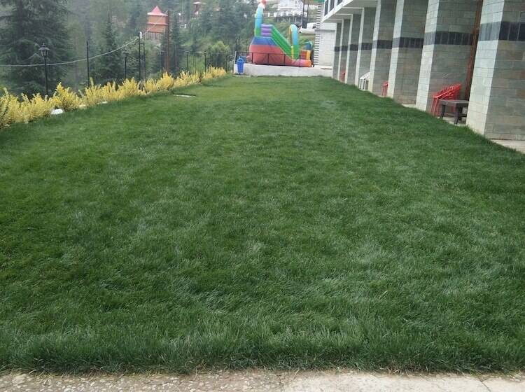 Mountain View Resort