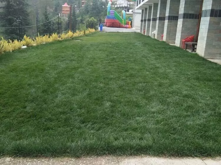 Mountain View Resort