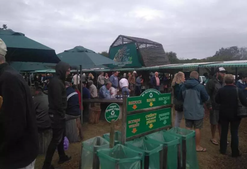 Majatalo Haven On Hoopoe