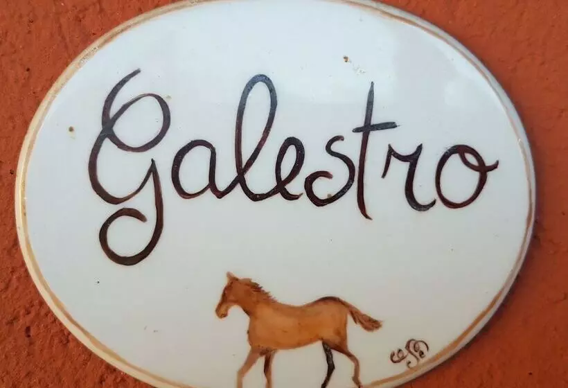 B&b La Cascina Di Monia E Mario