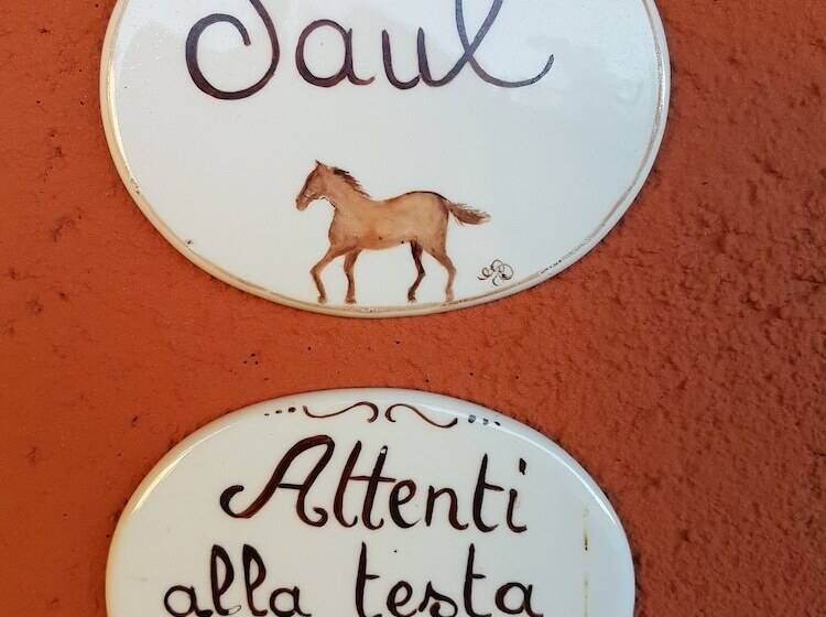 B&b La Cascina Di Monia E Mario