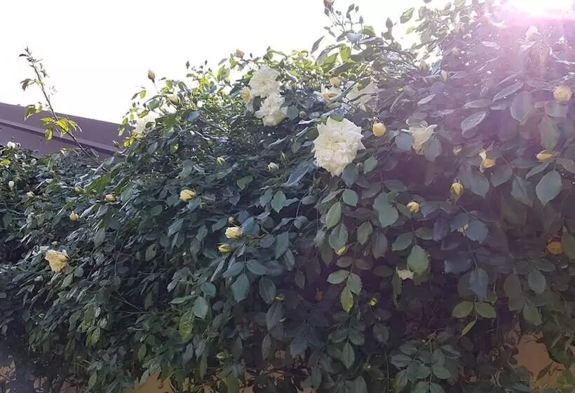 B&b La Cascina Di Monia E Mario