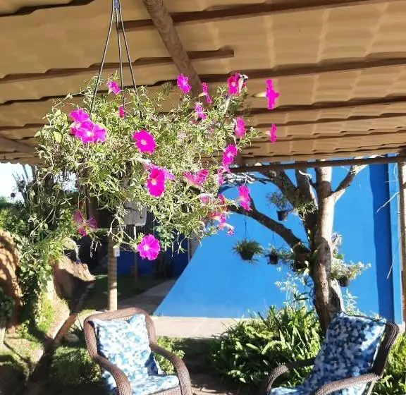 ペンション Pousada Das Falésias