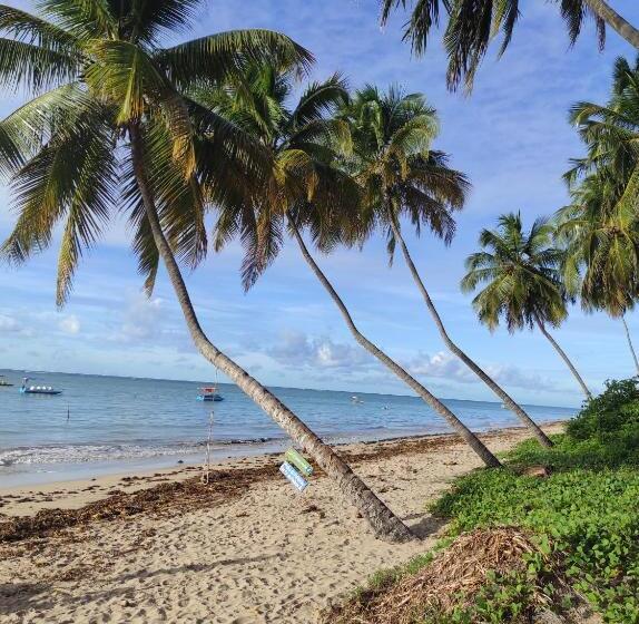 پانسیون Pousada Sunshine   Praia Do Patacho   Rota Milagres