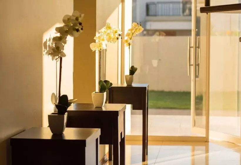 پانسیون The Studio Guest House