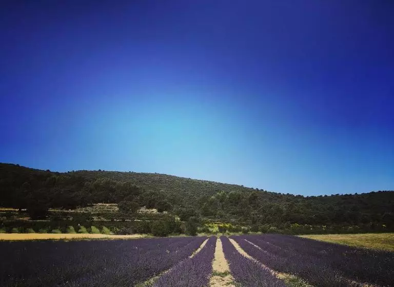 Aamiaismajoitus (B&B) Mas De Longuefeuille