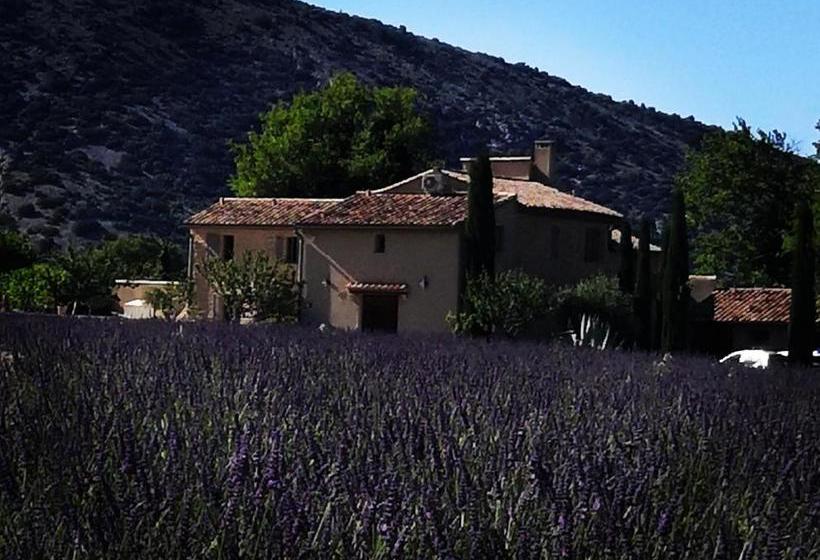 住宿加早餐  Mas De Longuefeuille