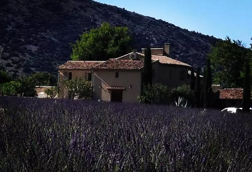 Aamiaismajoitus (B&B) Mas De Longuefeuille