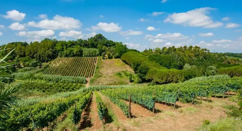 ホテル Agriturismo Il Maremmano