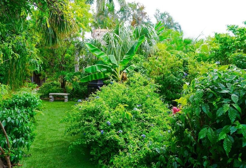 Riverside Apartments By The Beach