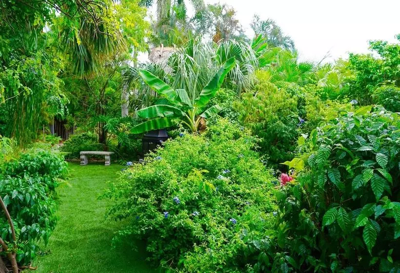 Riverside Apartments By The Beach