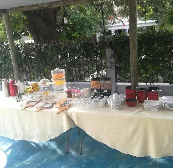 پانسیون Orquidea Guesthouse Spa & Restaurant