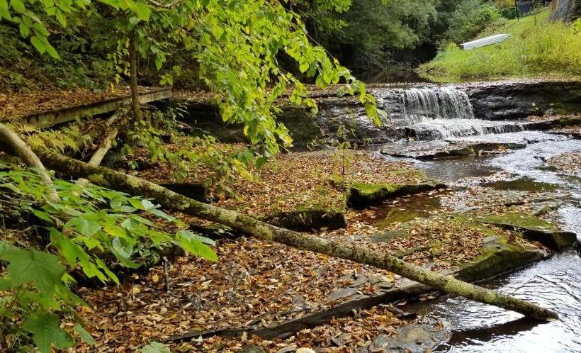 مبيت وإفطار Whisperin' Pines Chalet