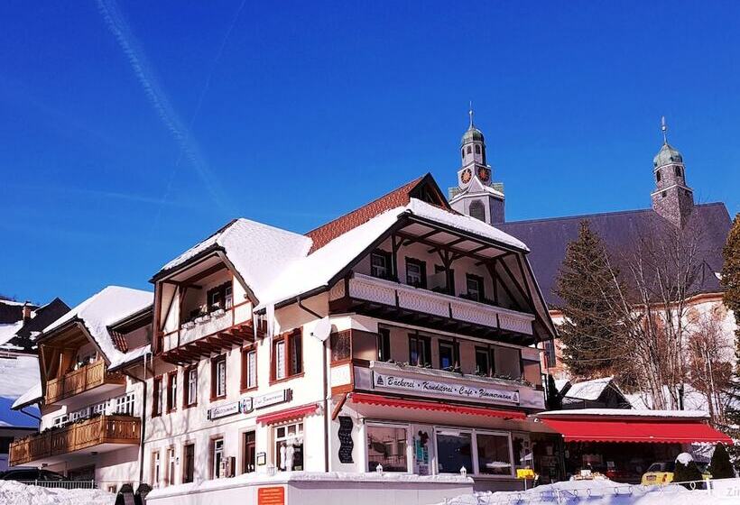 פנסיון Daszimmermann