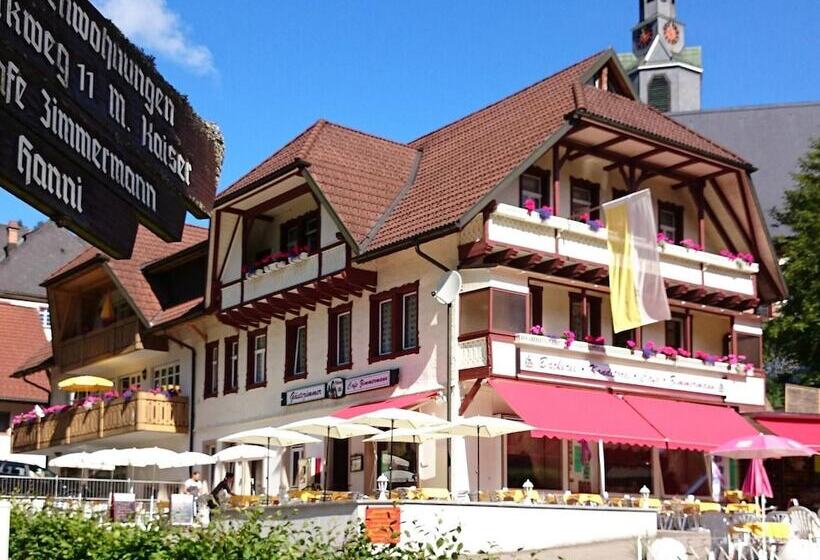 פנסיון Daszimmermann