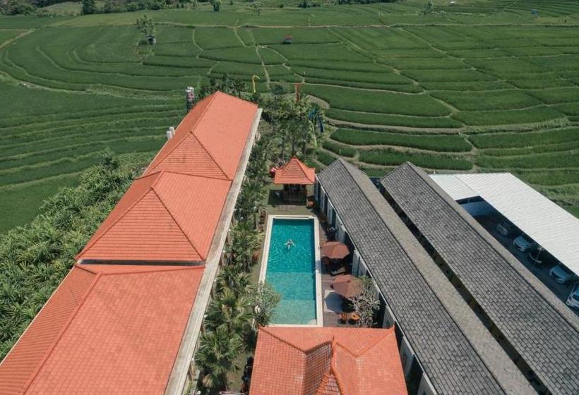 펜션 North Wing Canggu Resort