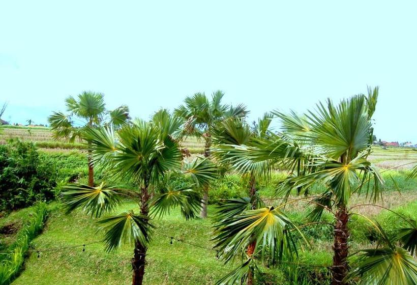 펜션 North Wing Canggu Resort