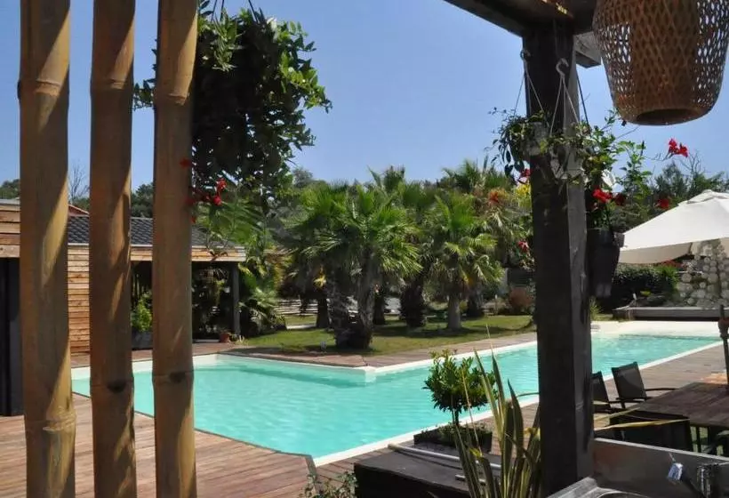 ベッドアンドブレックファースト Villacarroubier