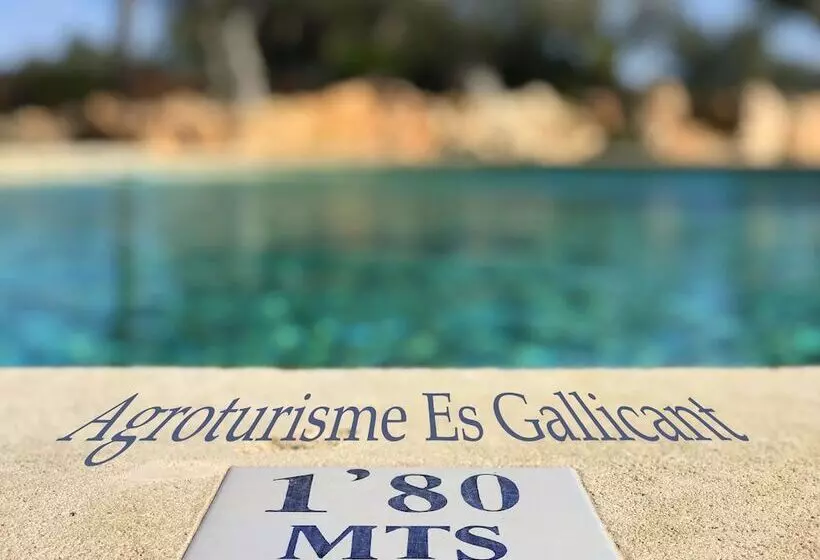 Hotelli Agroturismo Es Gallicant