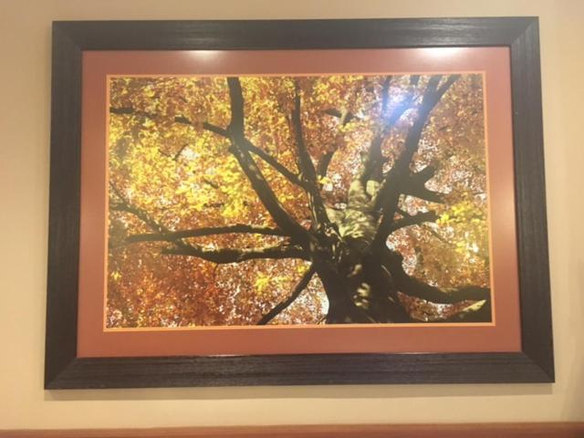 膳宿费 Habitat Guest House