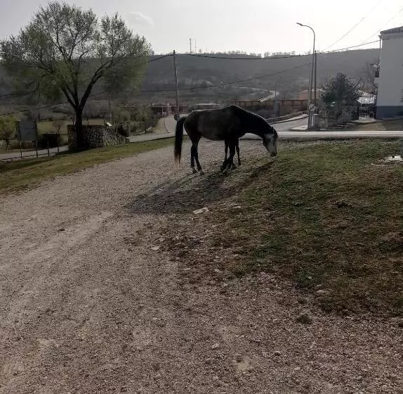 Pension Hostal Cañamares