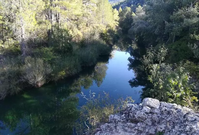 Pension Hostal Cañamares
