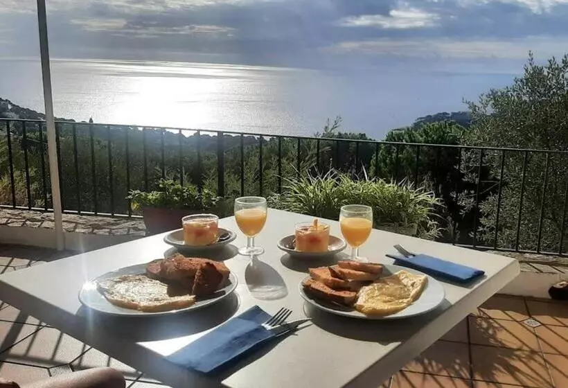 ホテル Hostal Sa Barraca   Adults Only