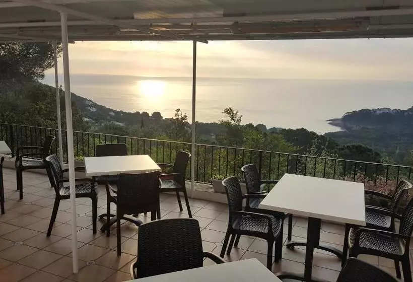 ホテル Hostal Sa Barraca   Adults Only