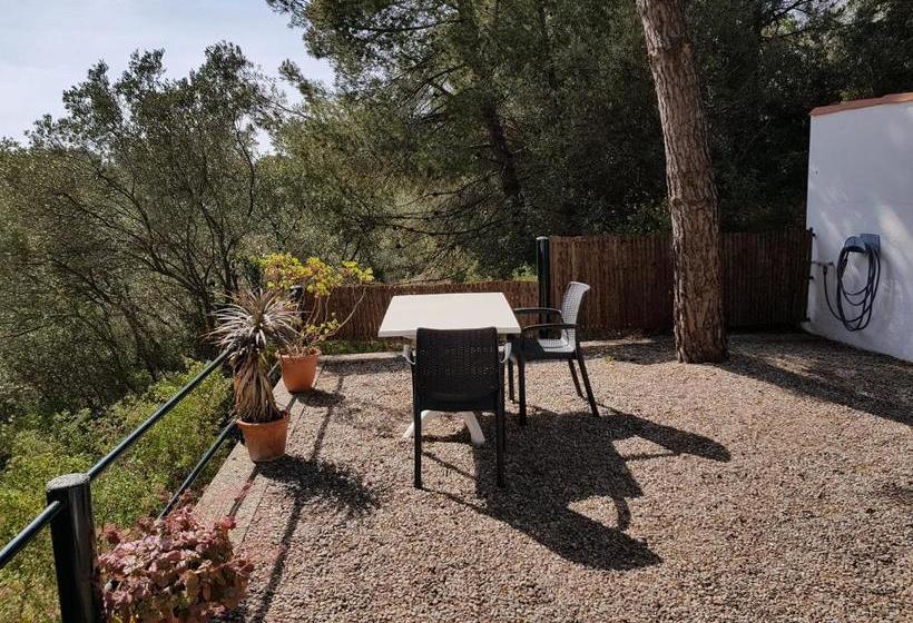 هتل Hostal Sa Barraca   Adults Only