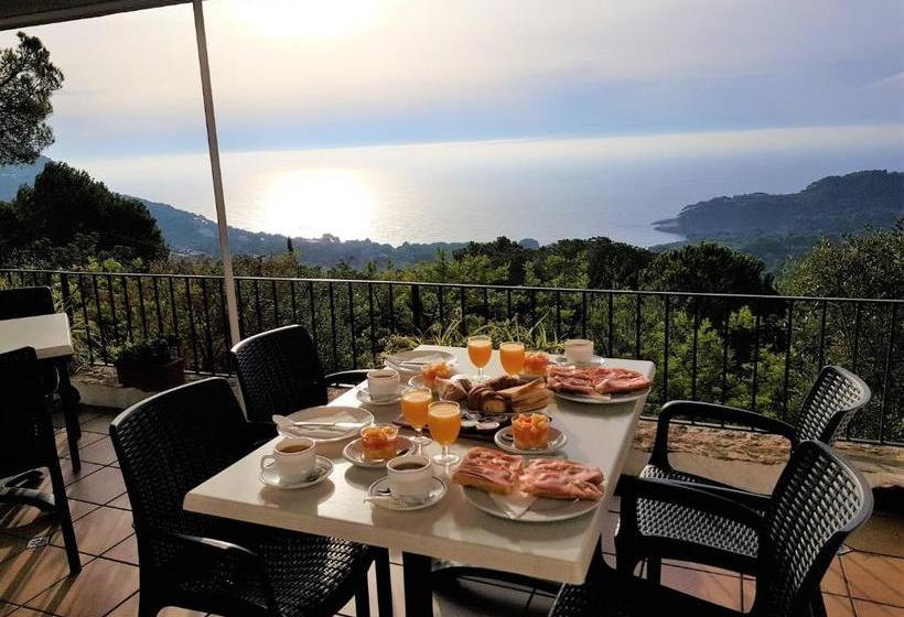 هتل Hostal Sa Barraca   Adults Only