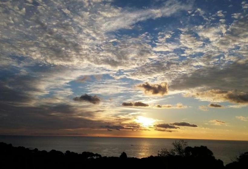 هتل Hostal Sa Barraca   Adults Only