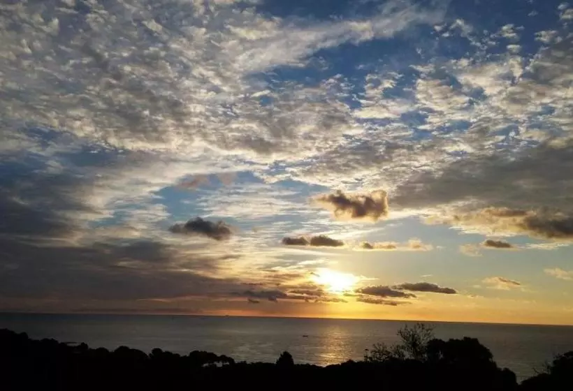 ホテル Hostal Sa Barraca   Adults Only