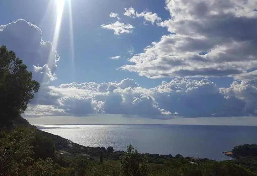 ホテル Hostal Sa Barraca   Adults Only