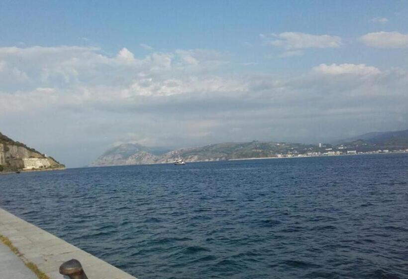 Pension Hospedaje La Tortuga