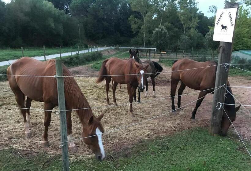 Пансион Hostal La Guineu