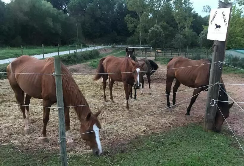 Majatalo Hostal La Guineu