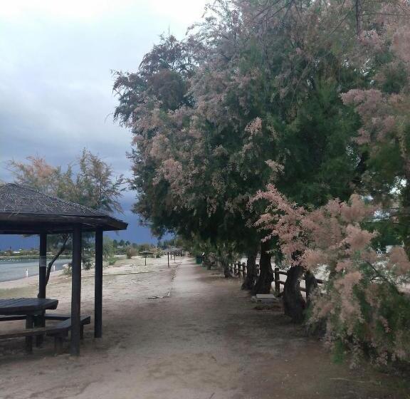 بنسيون Las Banderas