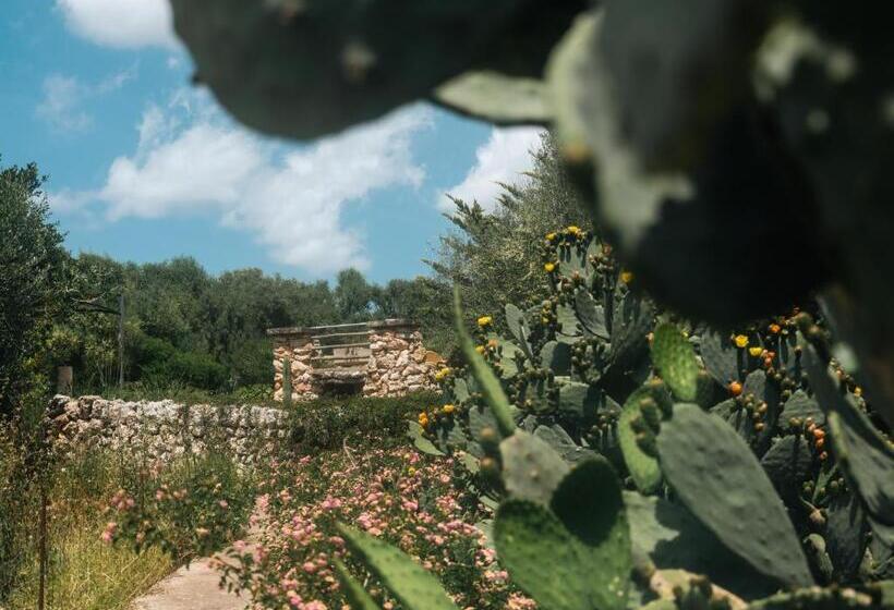 هتل Finca Sa Cova Vella