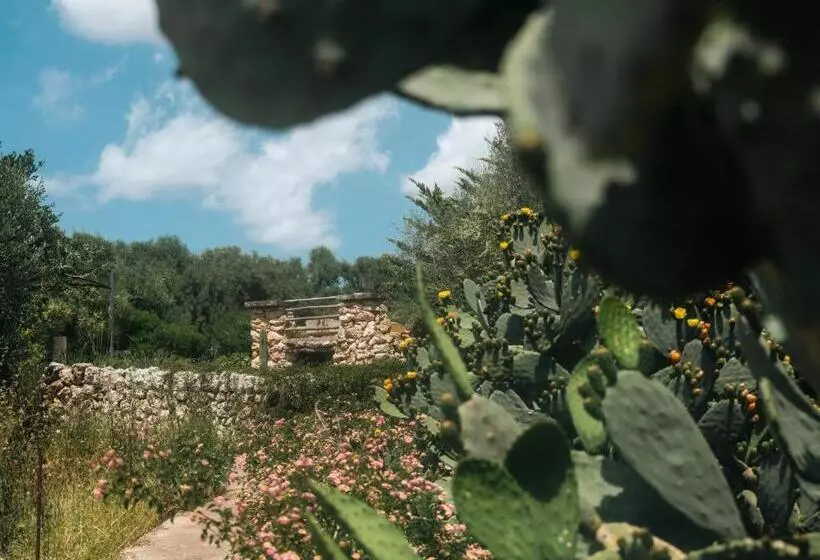ホテル Finca Sa Cova Vella