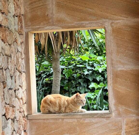 هتل Finca Sa Cova Vella