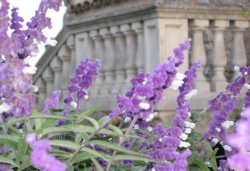 هتل Finca Sa Cova Vella