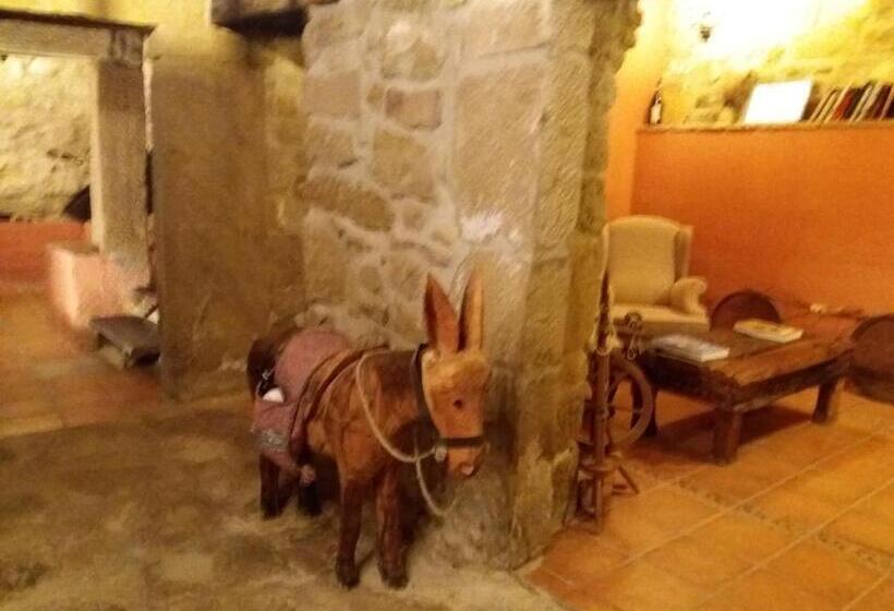 بنسيون Carpe Diem