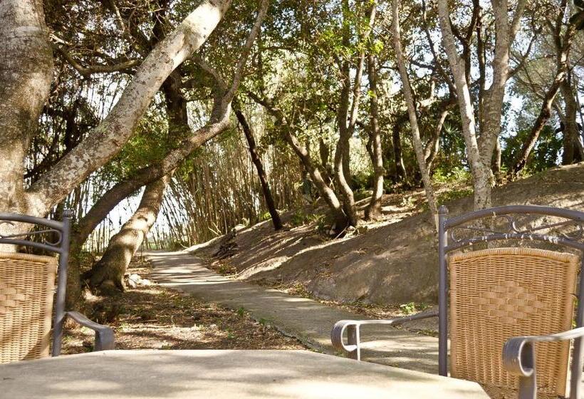 Hotel Agroturisme S  Horta